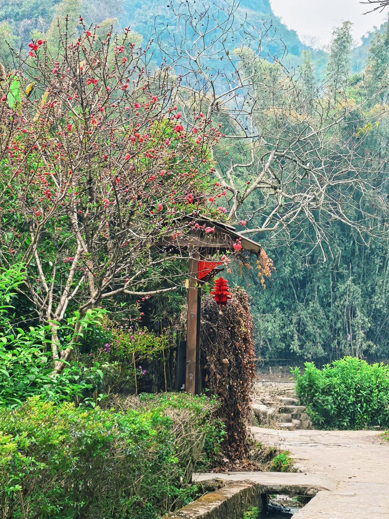 The Apsara Lodge Yangshuo Eksteriør bilde